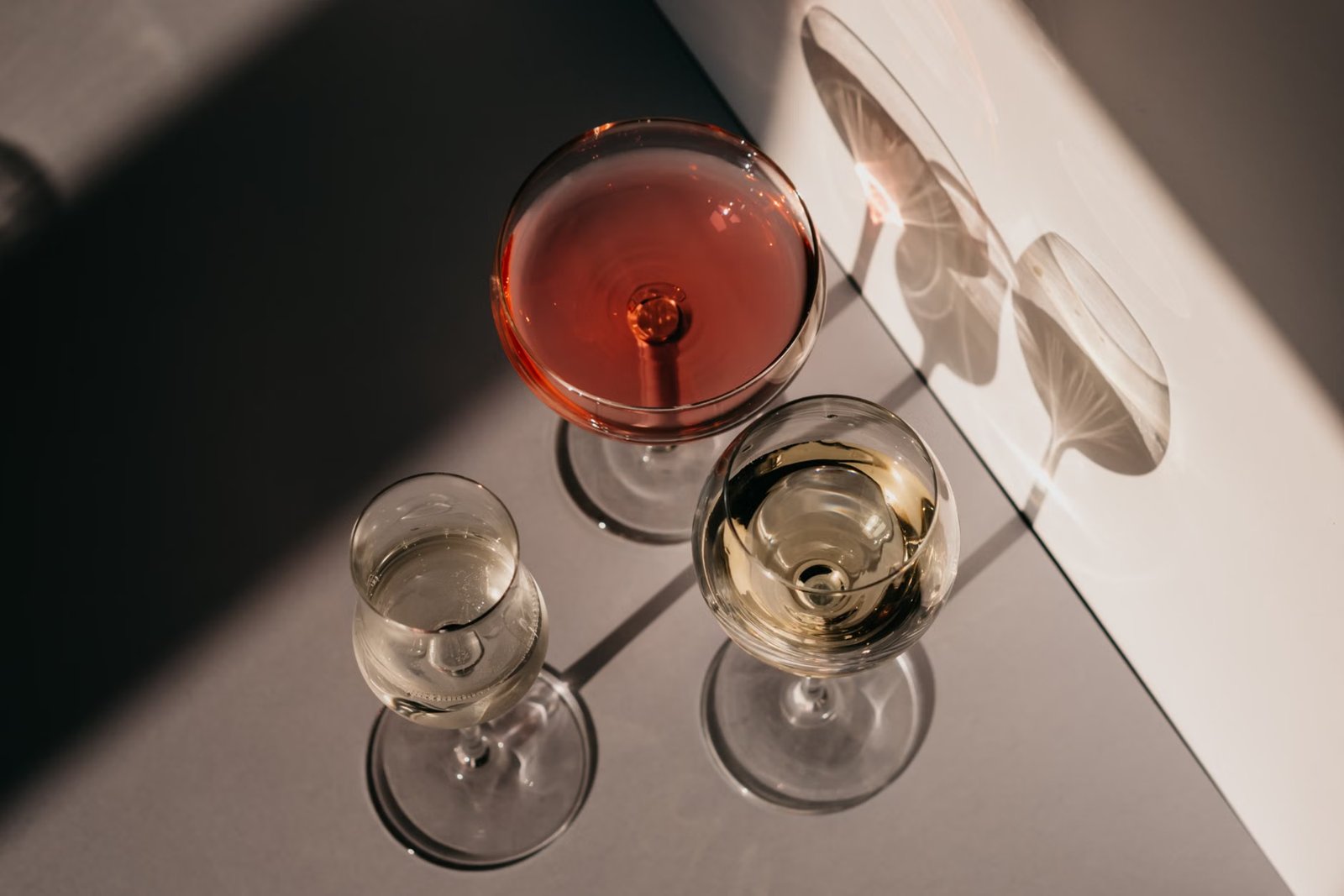 Commonwealth Wine School