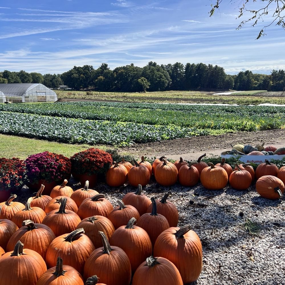 Dowse Orchards Pick-Your-Own Field