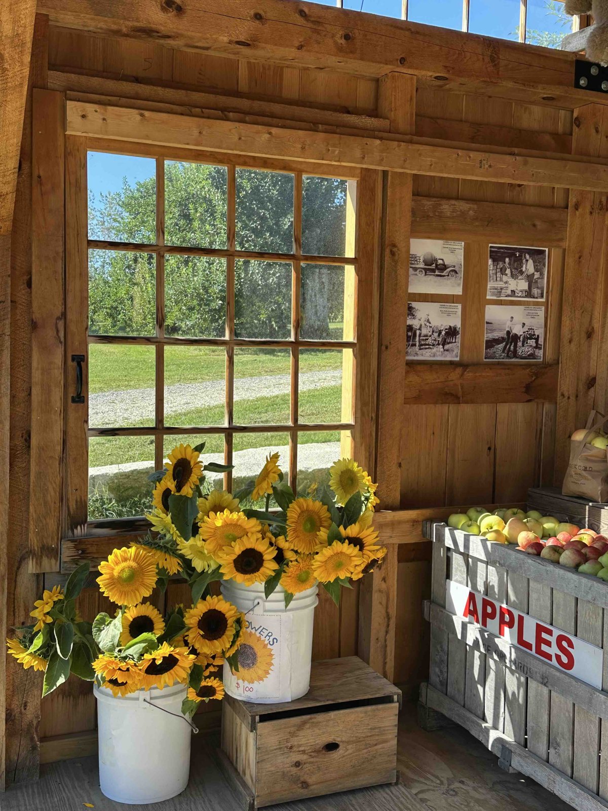 Doe Orchards