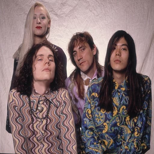 The Smashing Pumpkins: The Rats In A Cage Tour