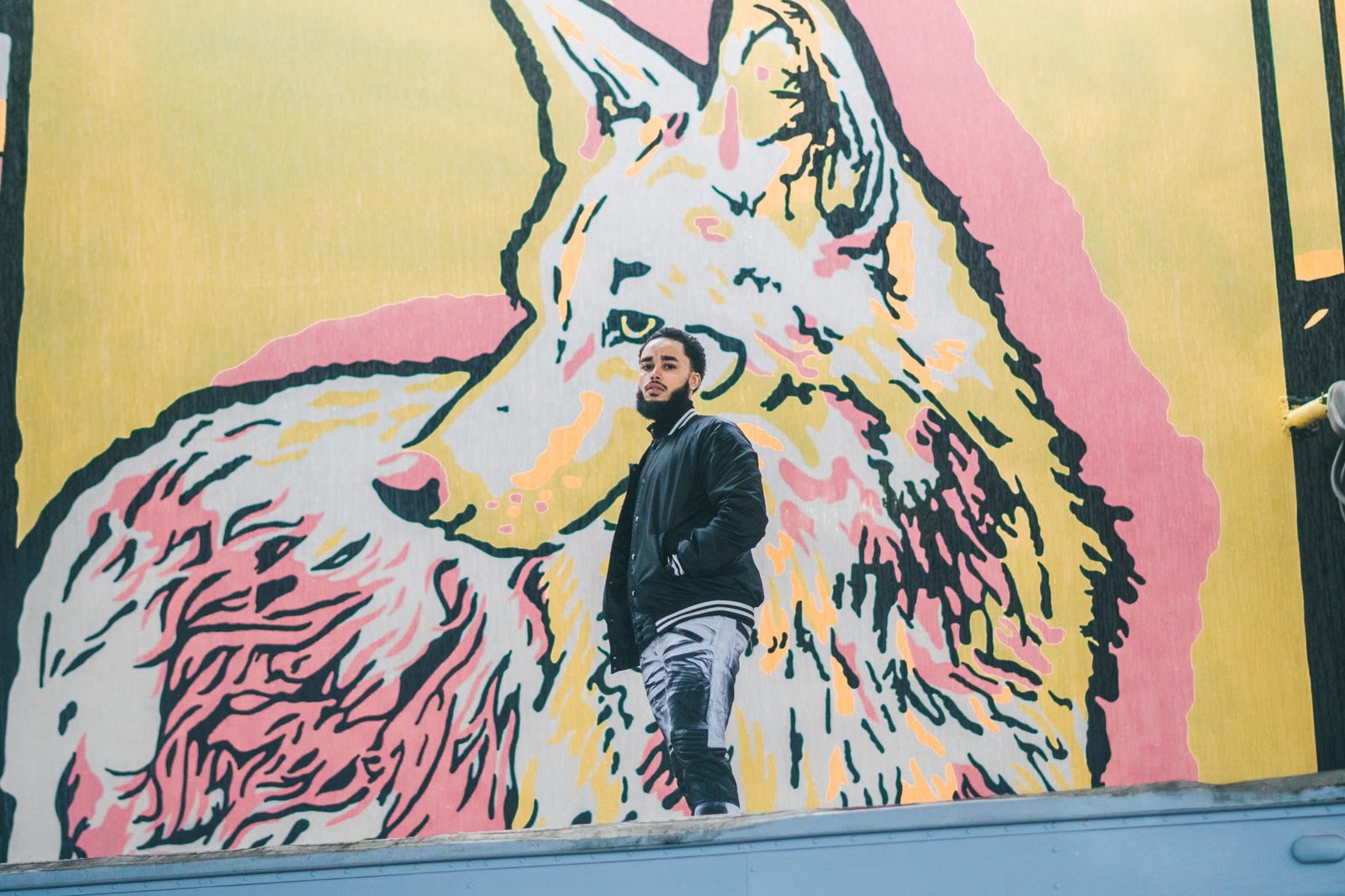 Knox - Artist