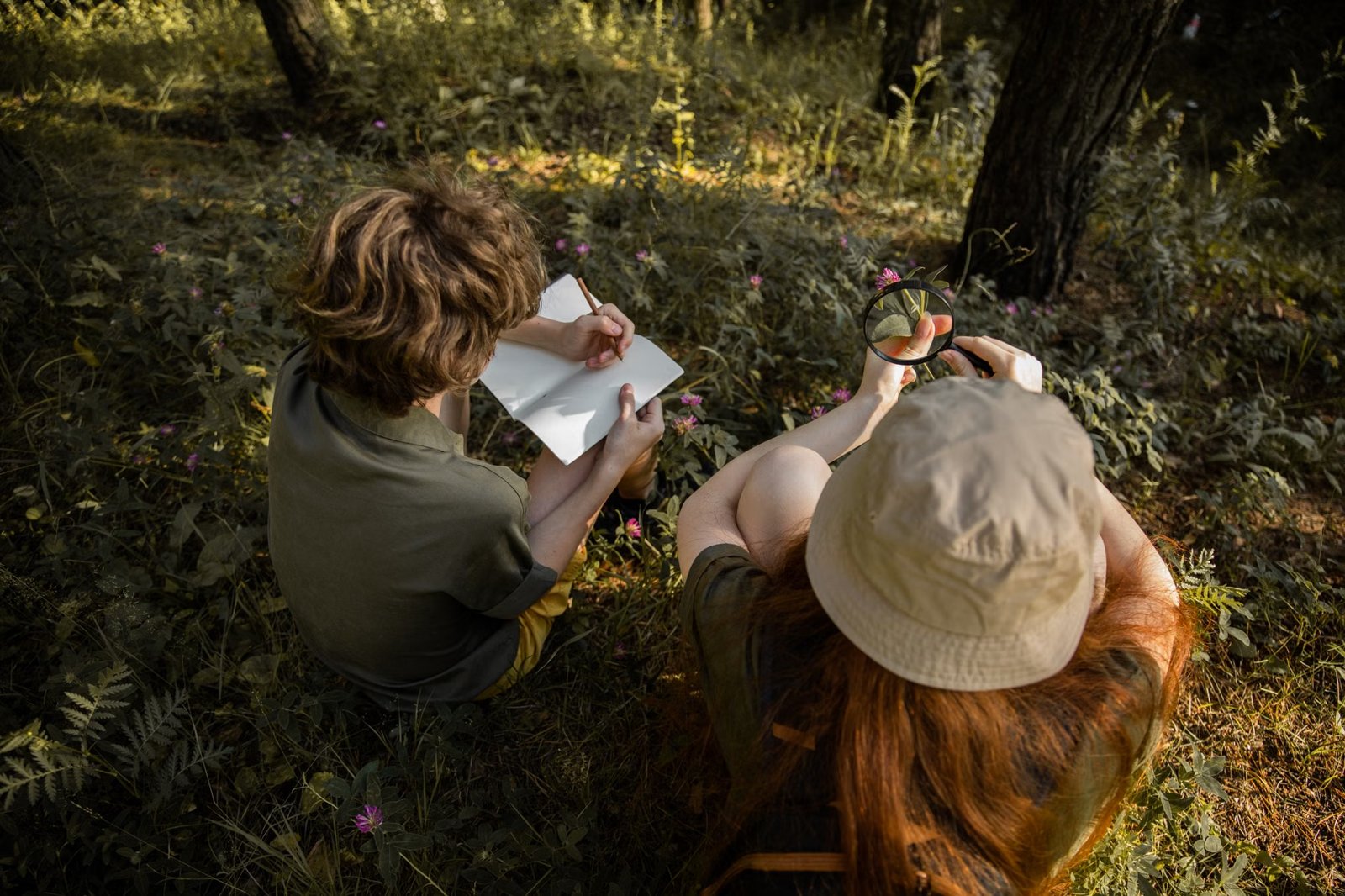 Backyard and Beyond: Nature Journals at Discovery Museum