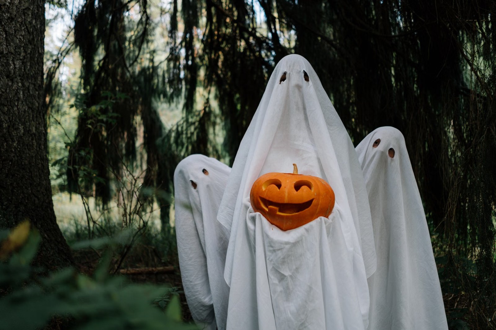 Ghosts on the Banke Family Halloween