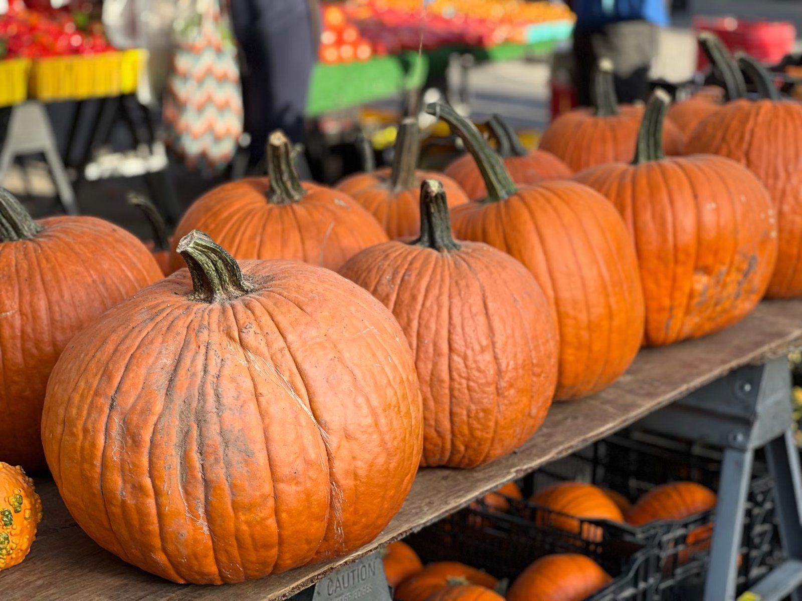Union Square Farmers Market