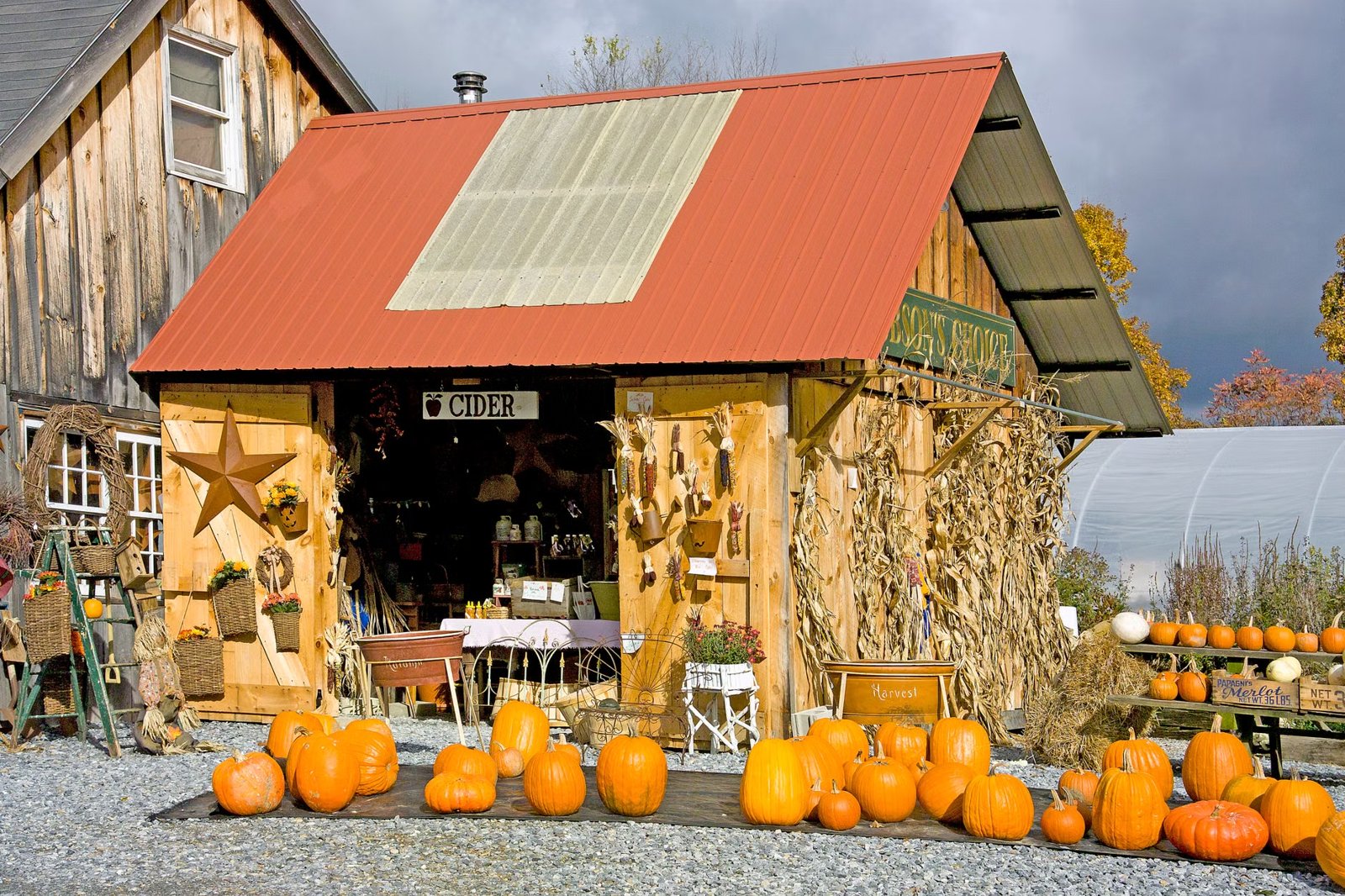 Thursday Discovery STEAM Days at Cider Hill Farm