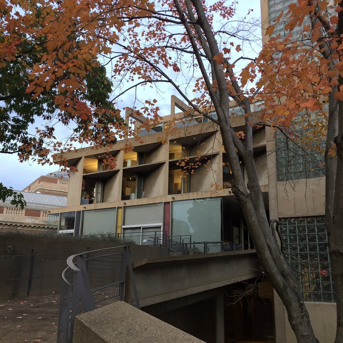 Carpenter Center for the Visual Arts