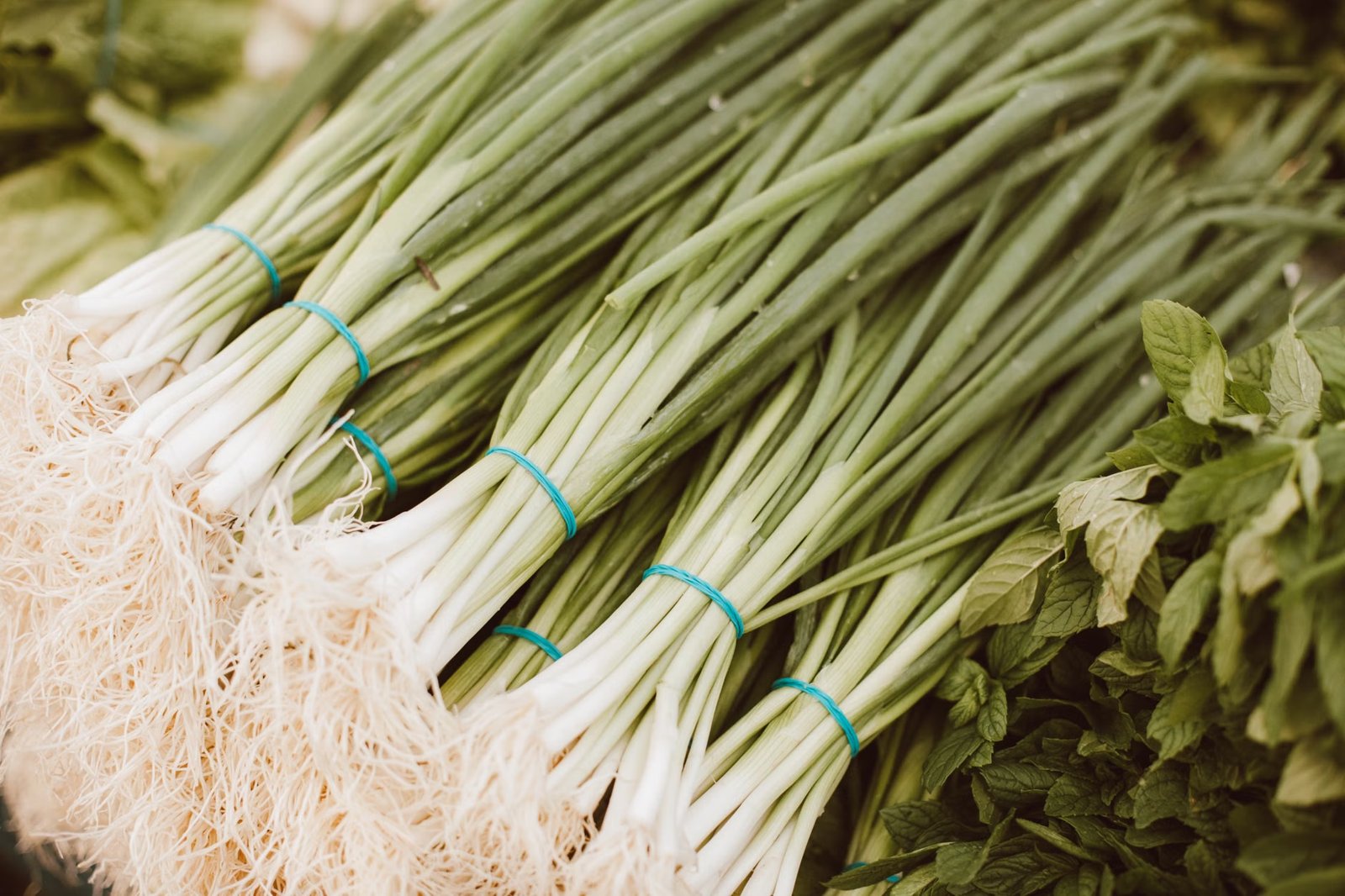 COLD SPRINGS PARK Farmer’s Market