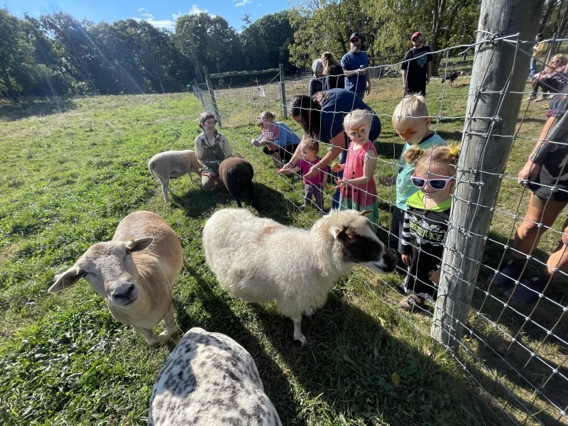 Boo in the Barnyard - At Weir River Farm - Hingham, MA