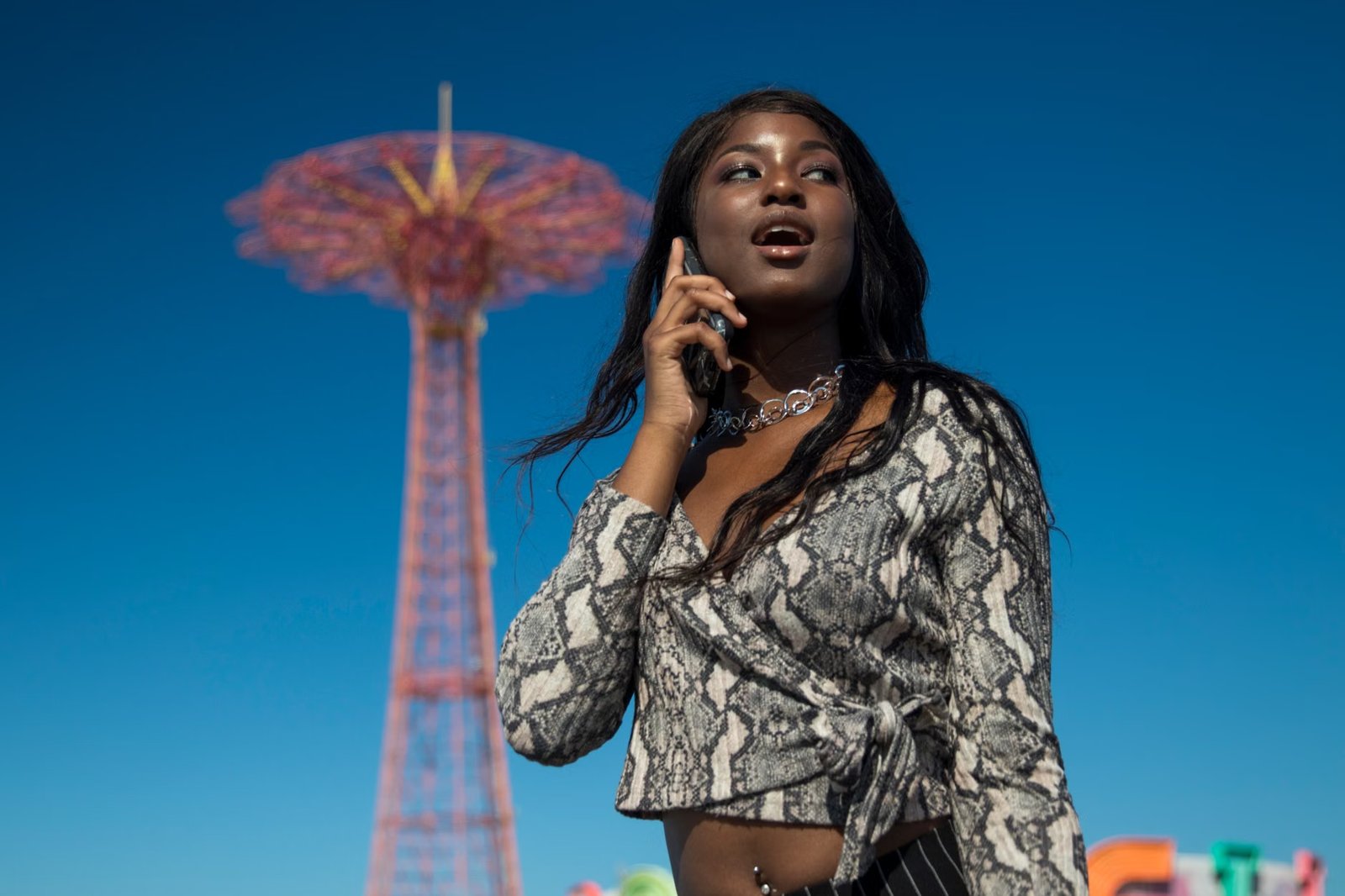 Faneek's Coney Island SNAP RMP Service