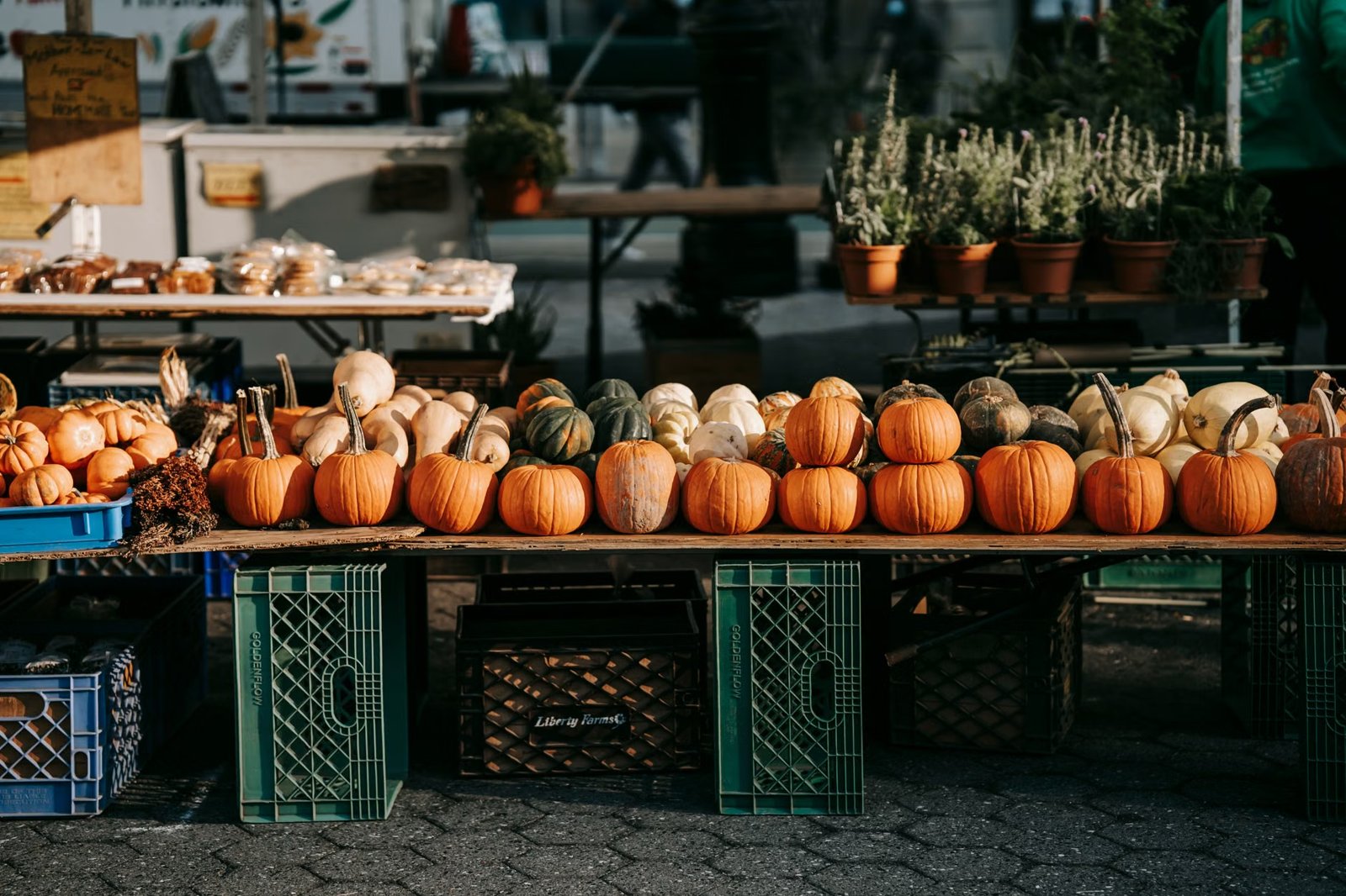 Brookline Farmers' Market