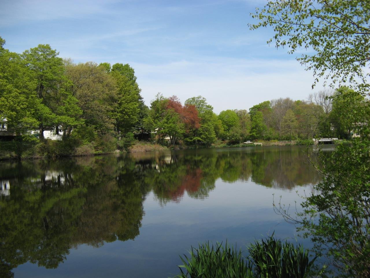 Bullough's Pond
