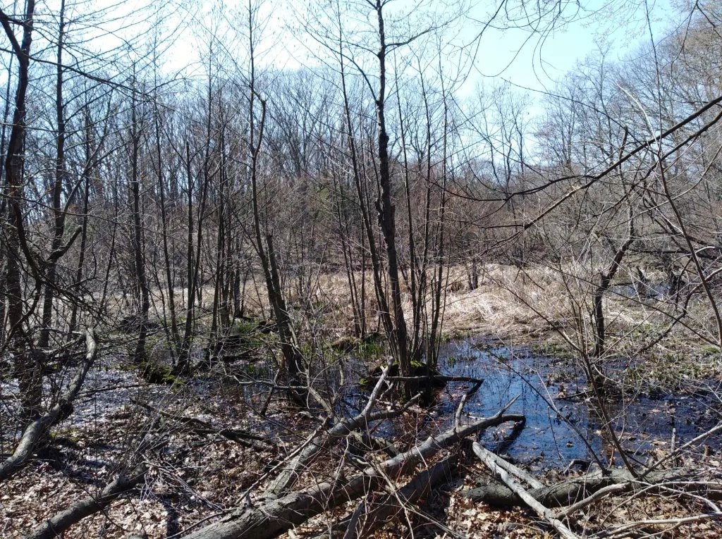 Edmands Park