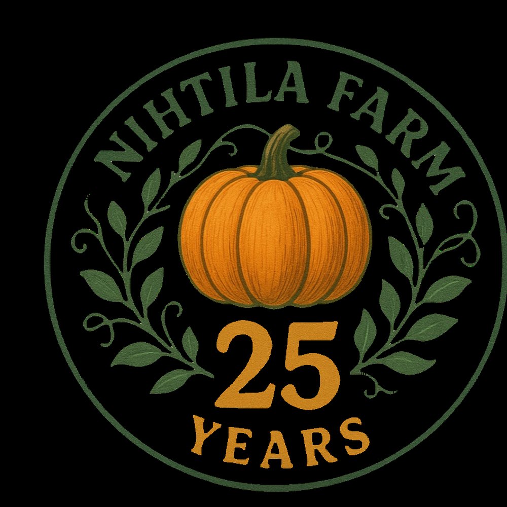 Pumpkin Picking at Cider Hill Farm