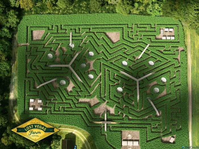 Davis Mega Maze