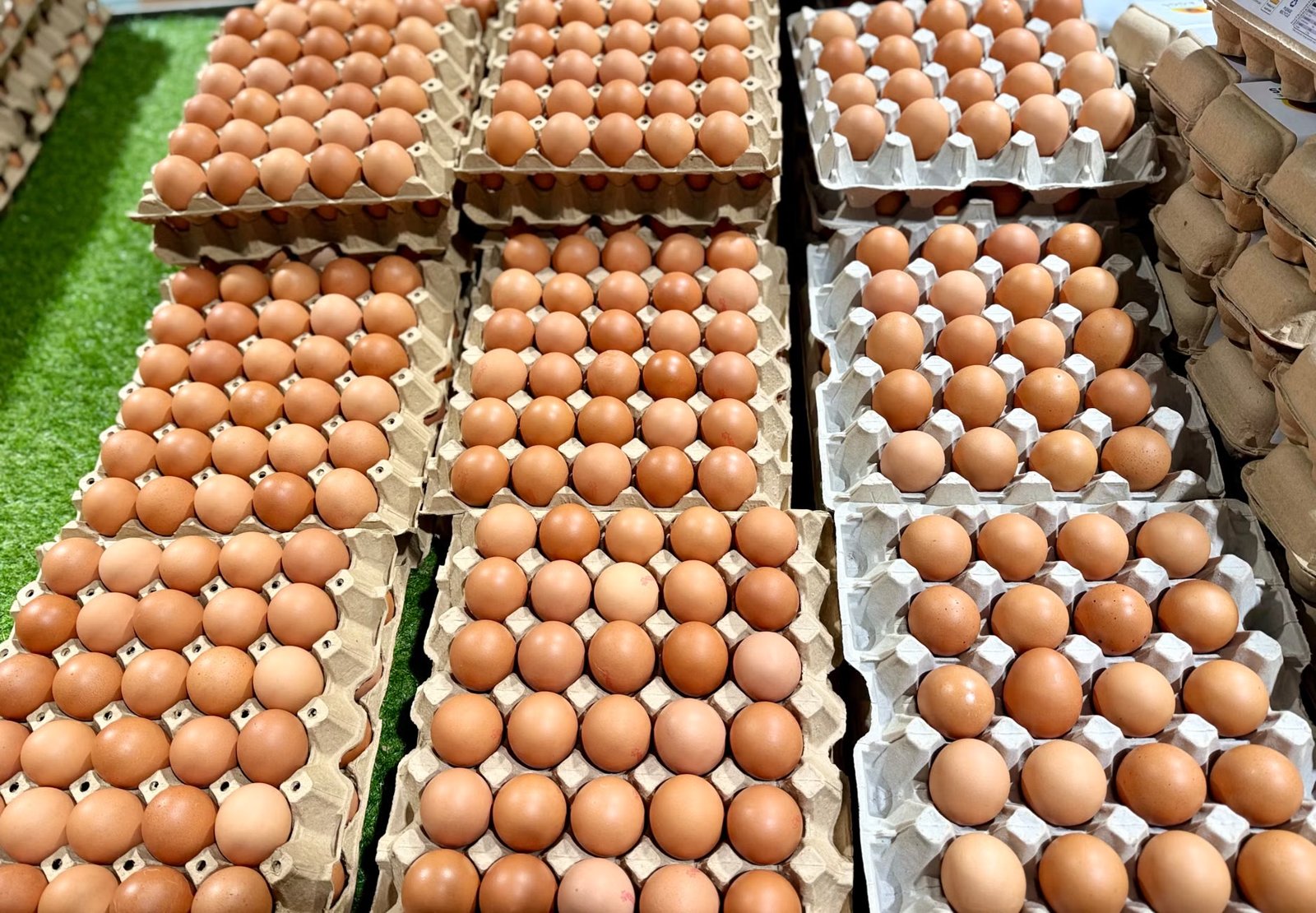 Somerville/Assembly Row Farmers Market