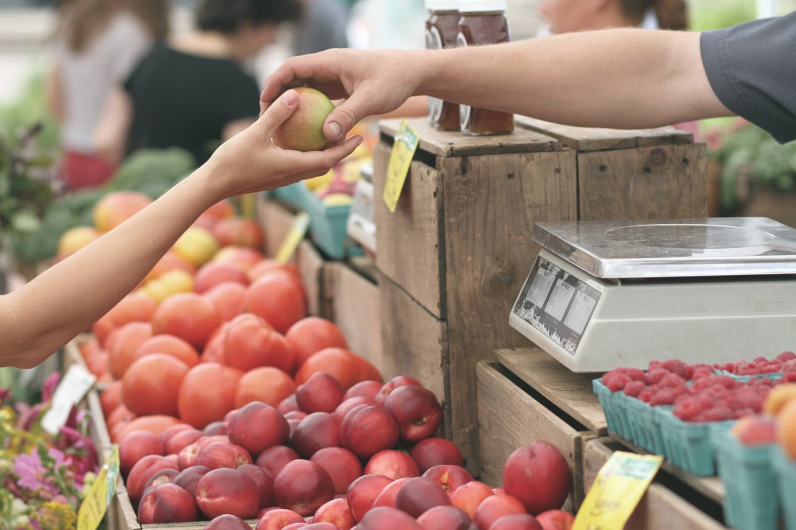 Lincoln Arts and Farmers Market