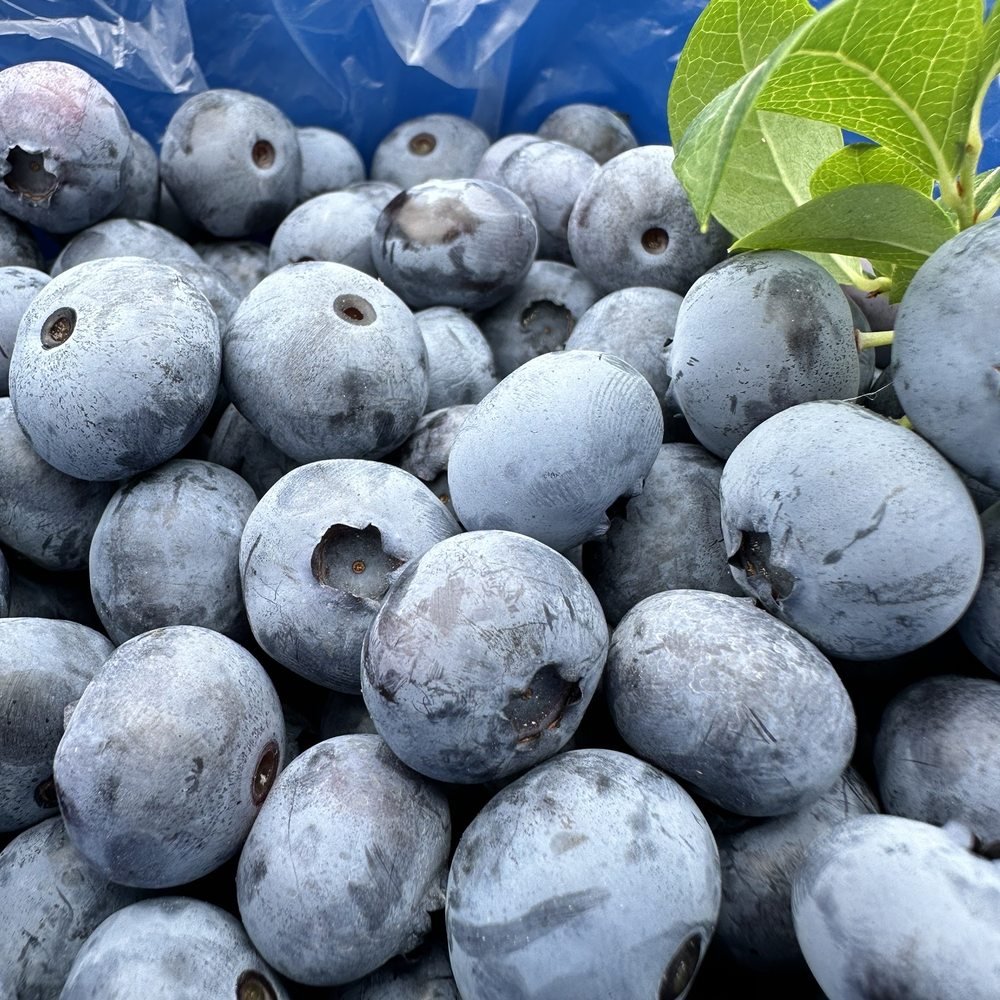 CHA: Farmers Market Nutrition Program coupons