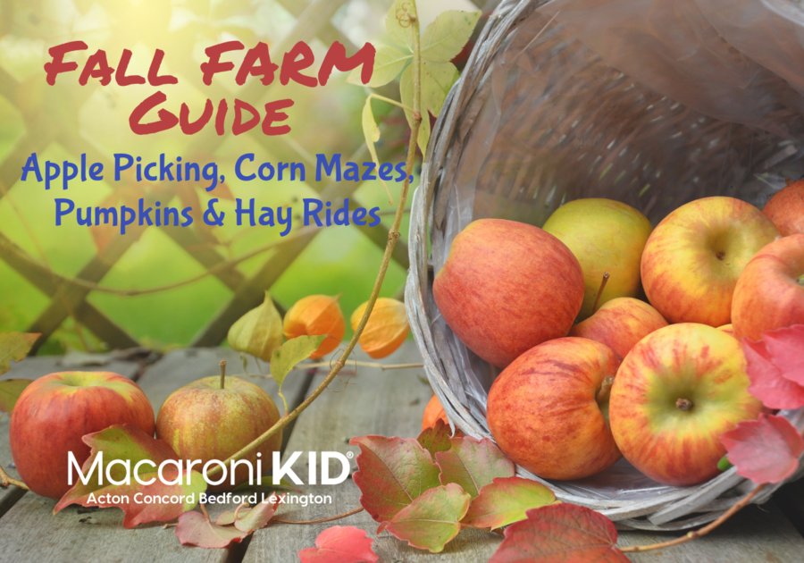 Cucurbit Farm Fall Season