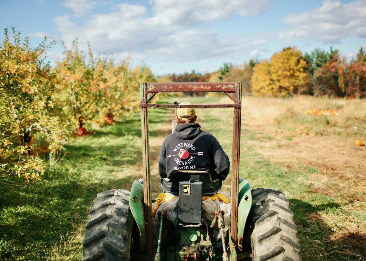 Westward Orchards Fall Season