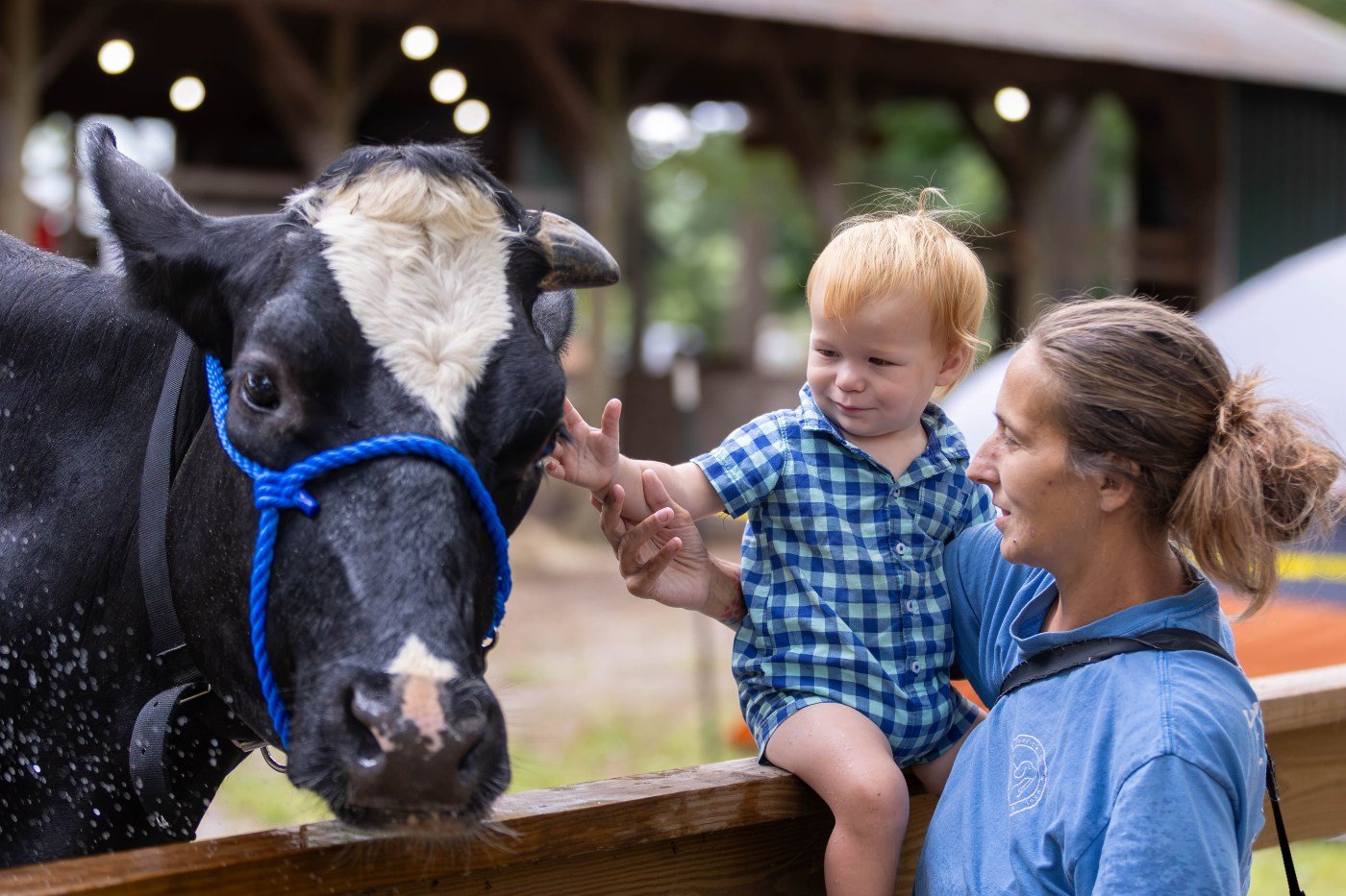 Middlesex County 4-H Fair, Inc.