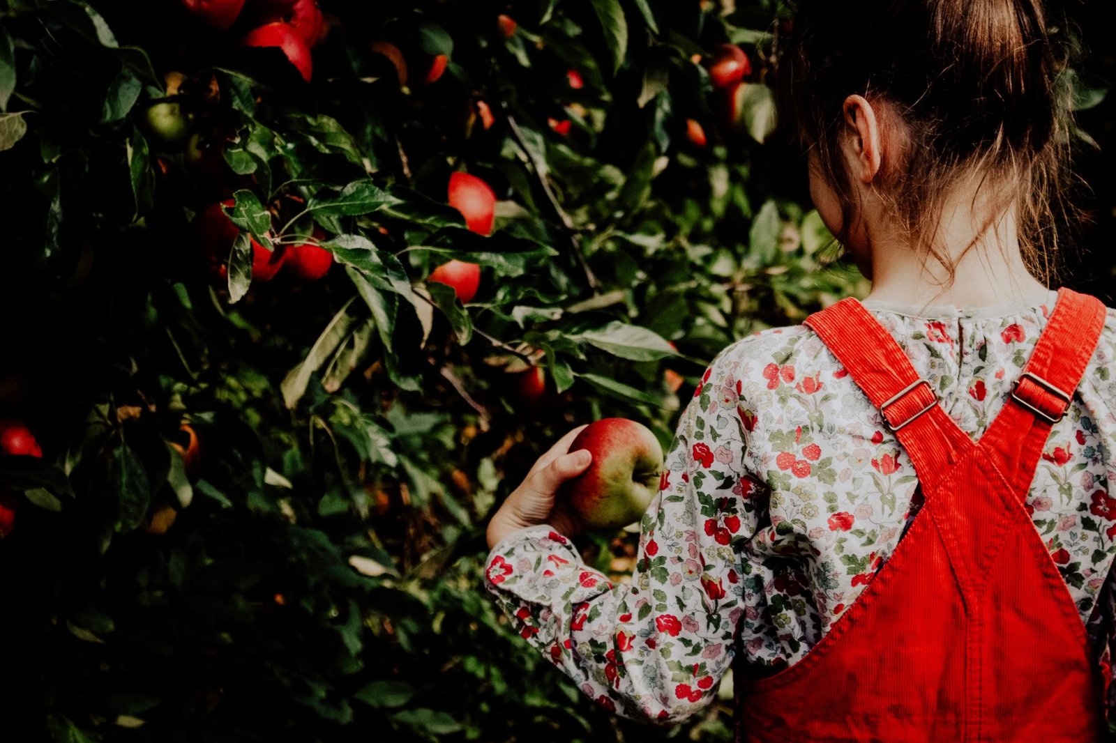 George Hill Orchards