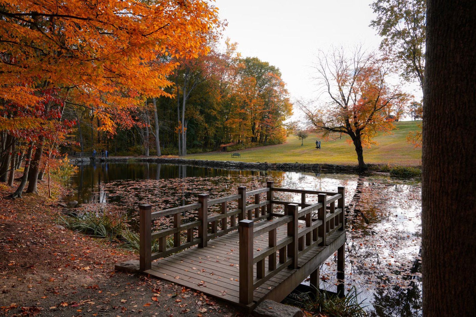 Richard Landry Park