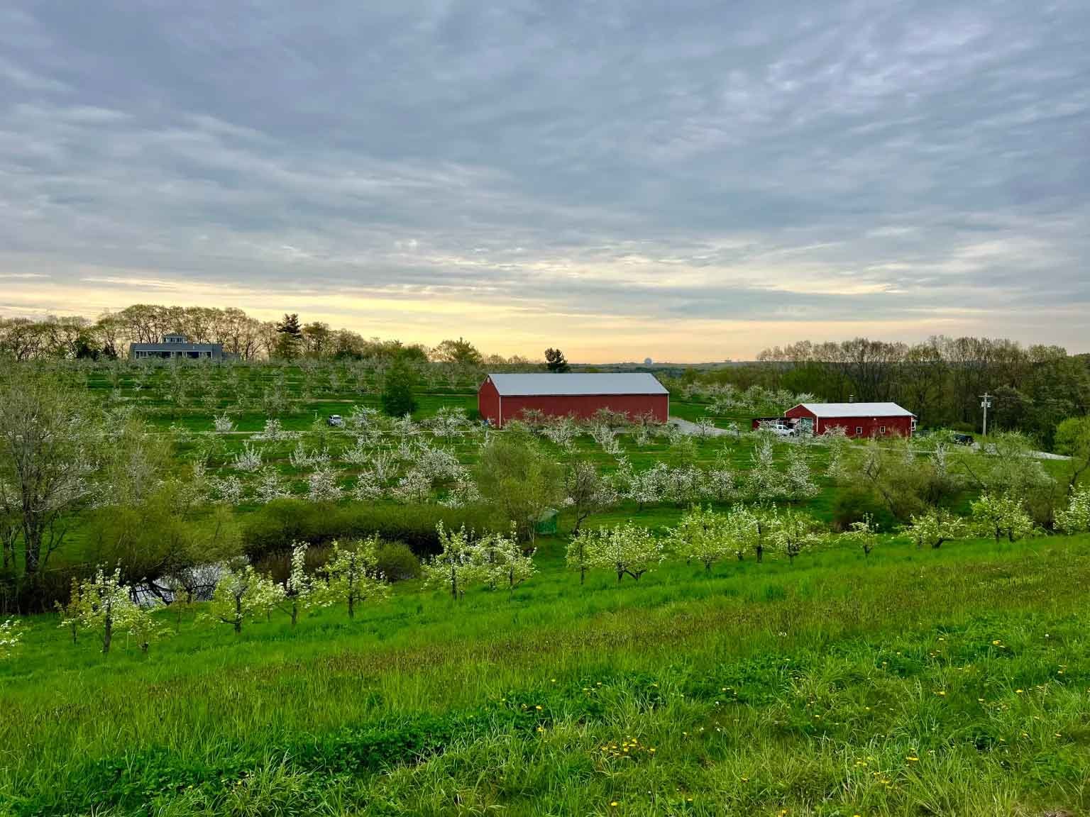 Autumn Hills Orchard