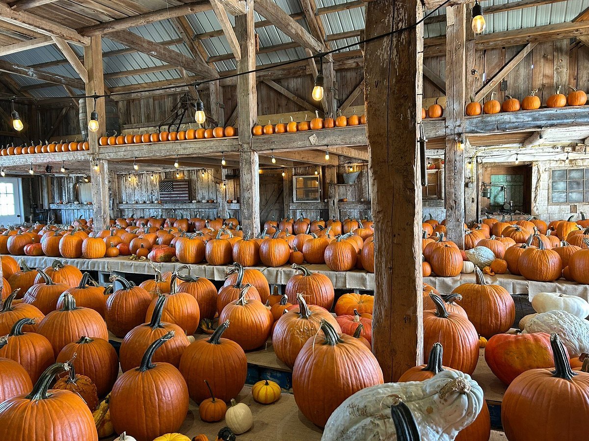 Stone Mountain Farm
