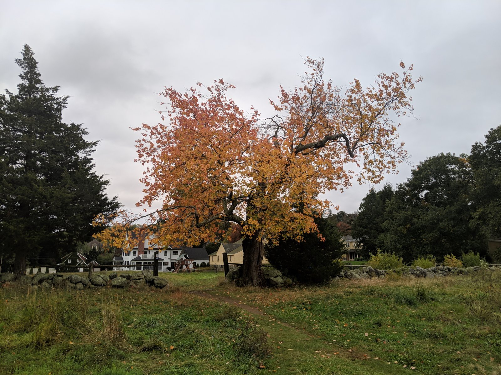 Chiesa Farm