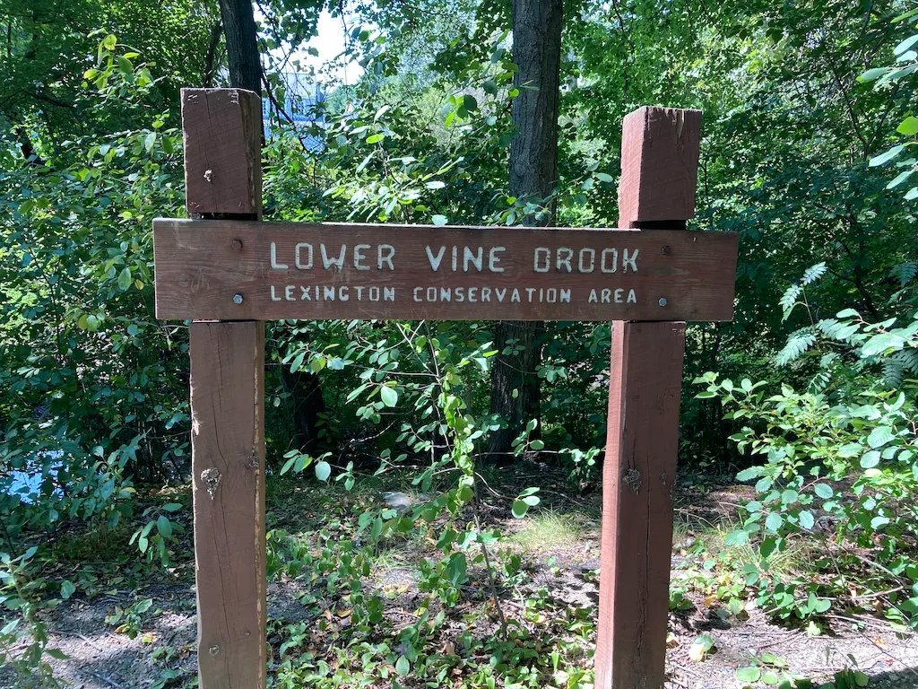 Lower Vine Brook