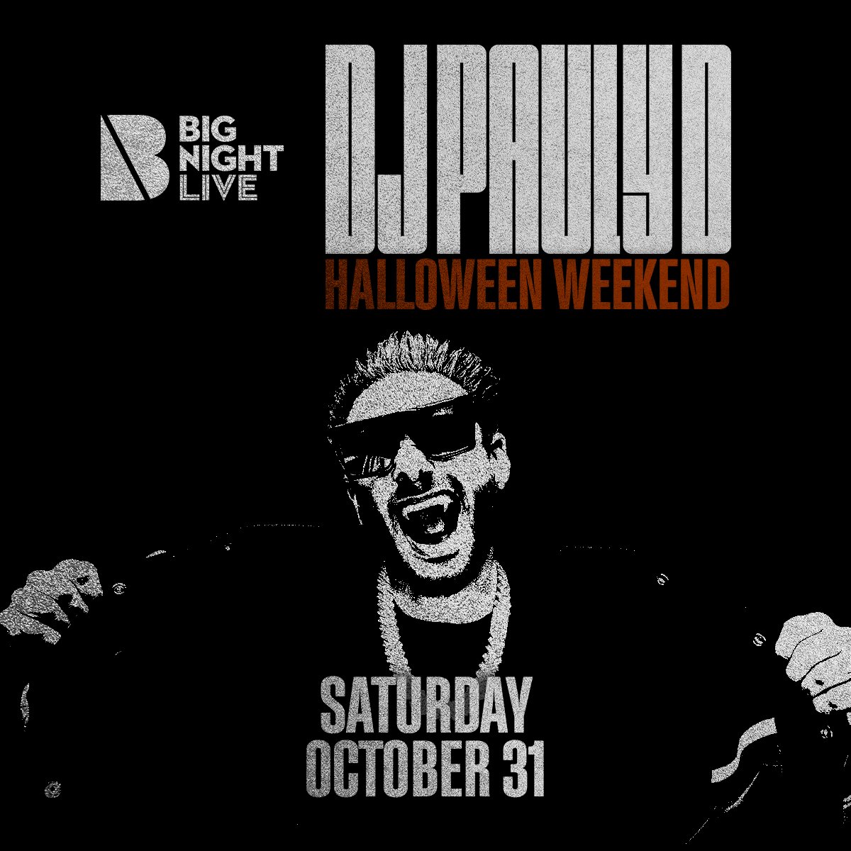 DJ Pauly D