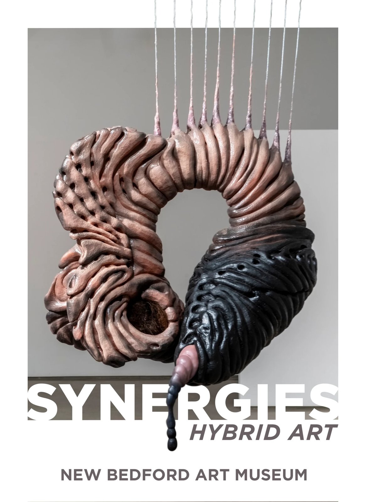 Synergies: Hybrid Art