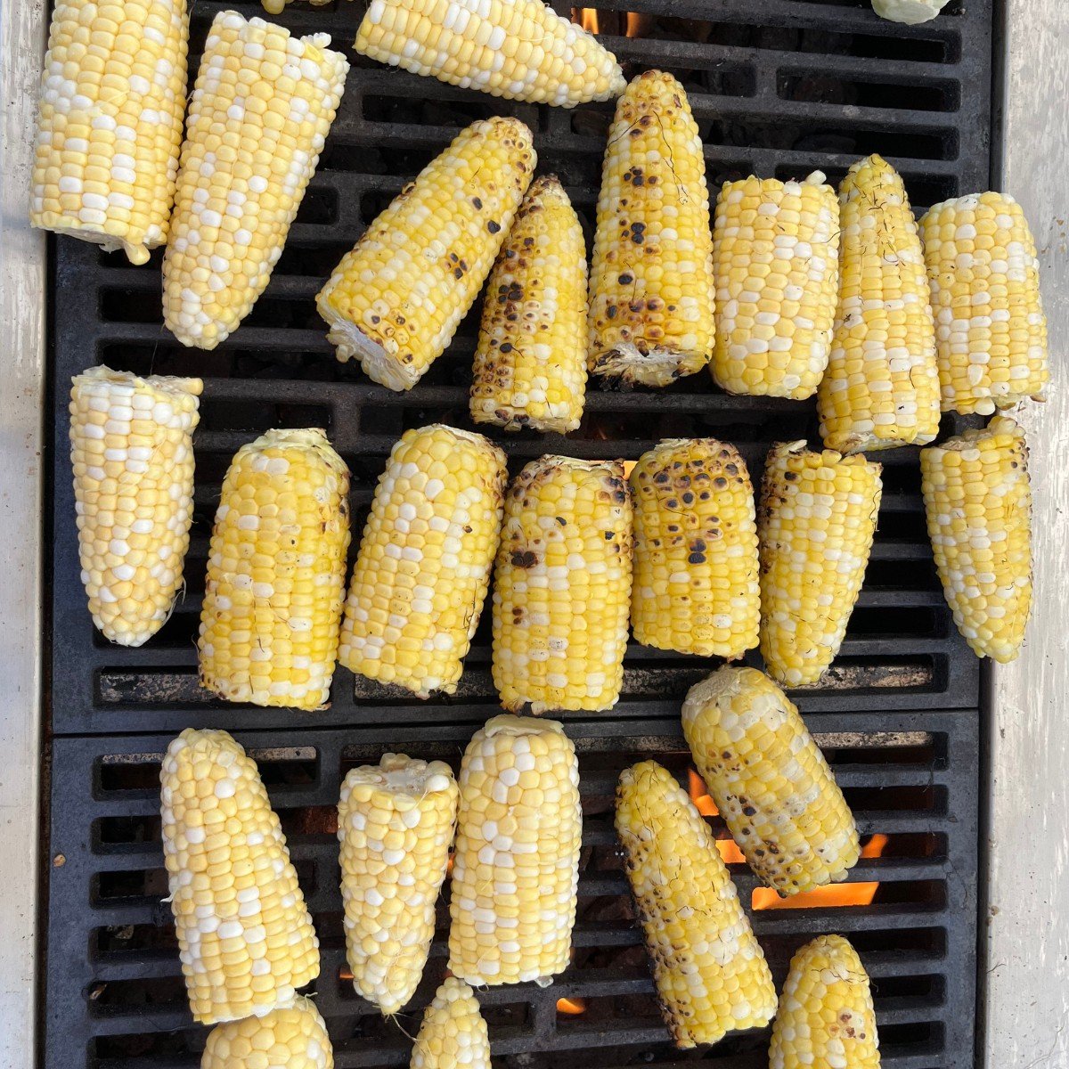 Corn and Tomato Festival