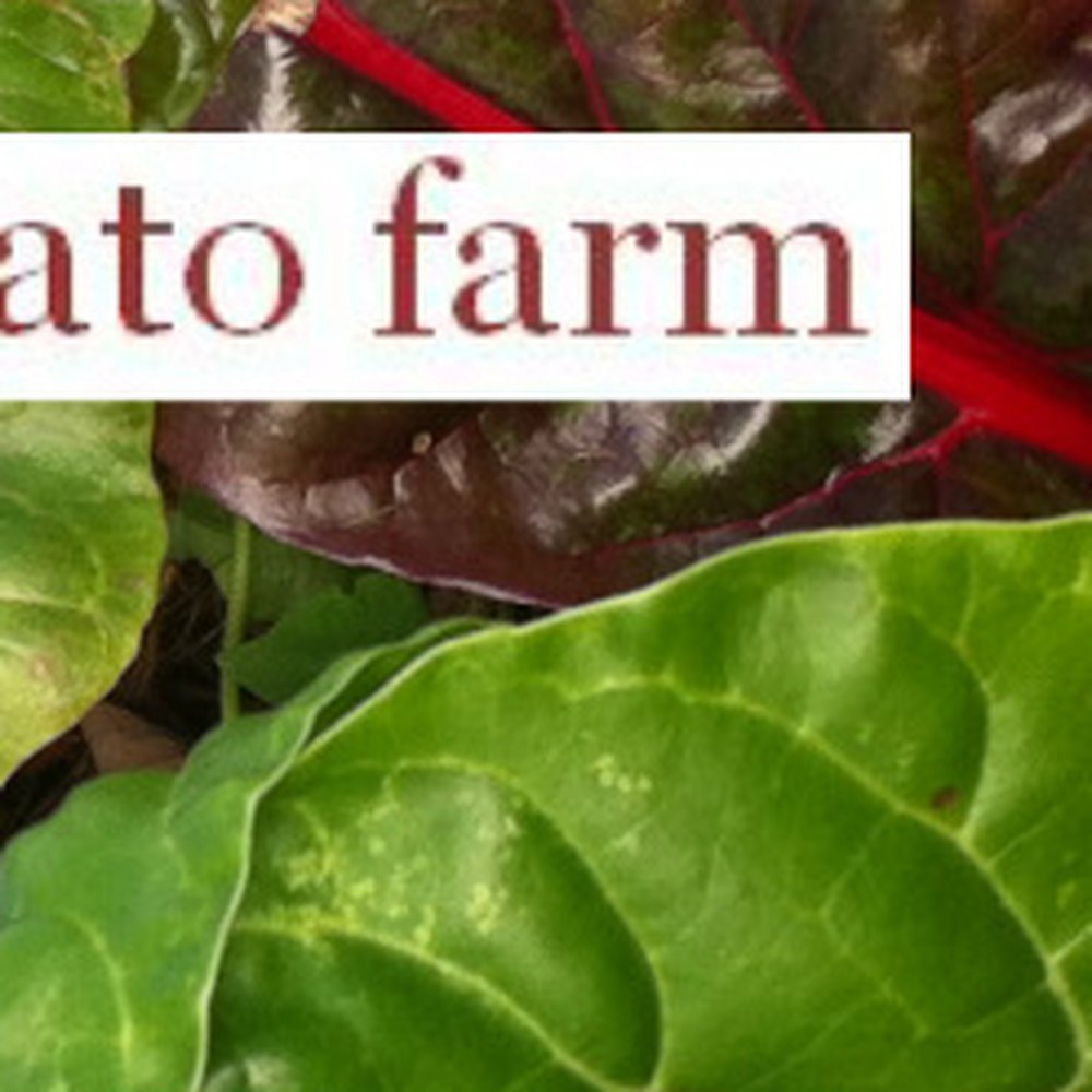 Smart Barn Tours at Great Brook Farm