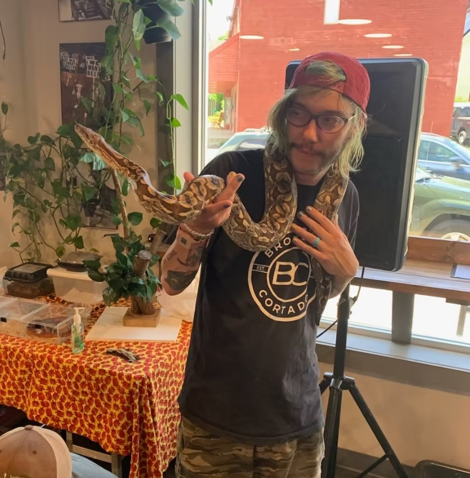 Reptile Pop-up!
