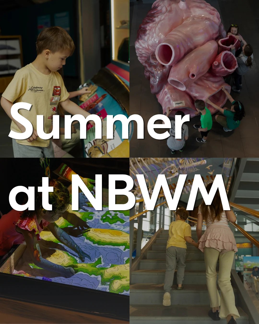 Summer at NBWM