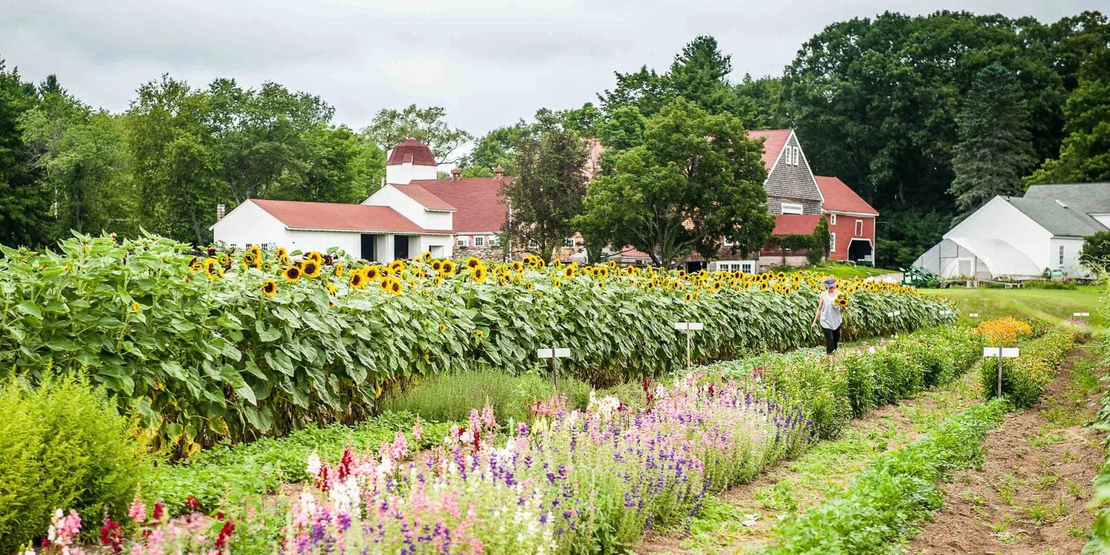 Clark Farm