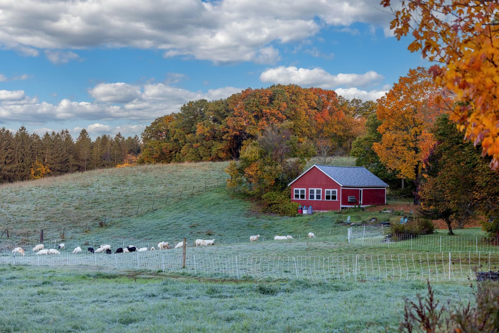October Farm Riverfront