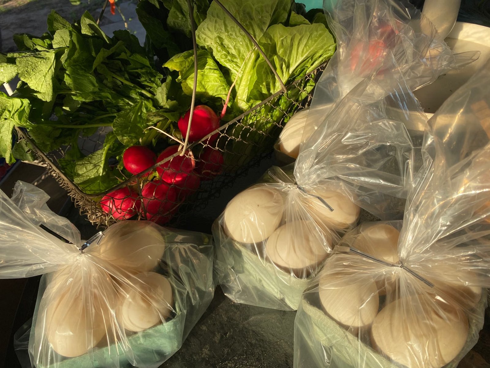 Scimone's Farm Stand