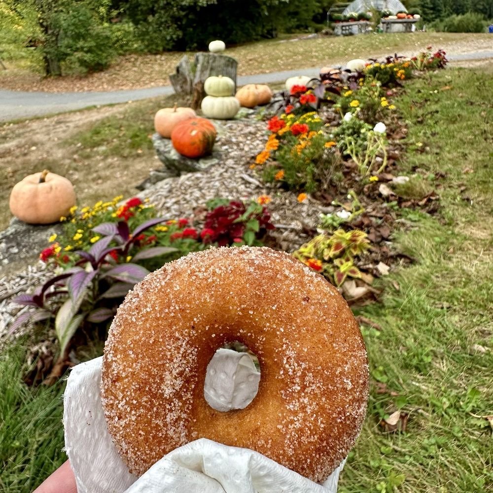 Carver Hill Orchard Apple Picking