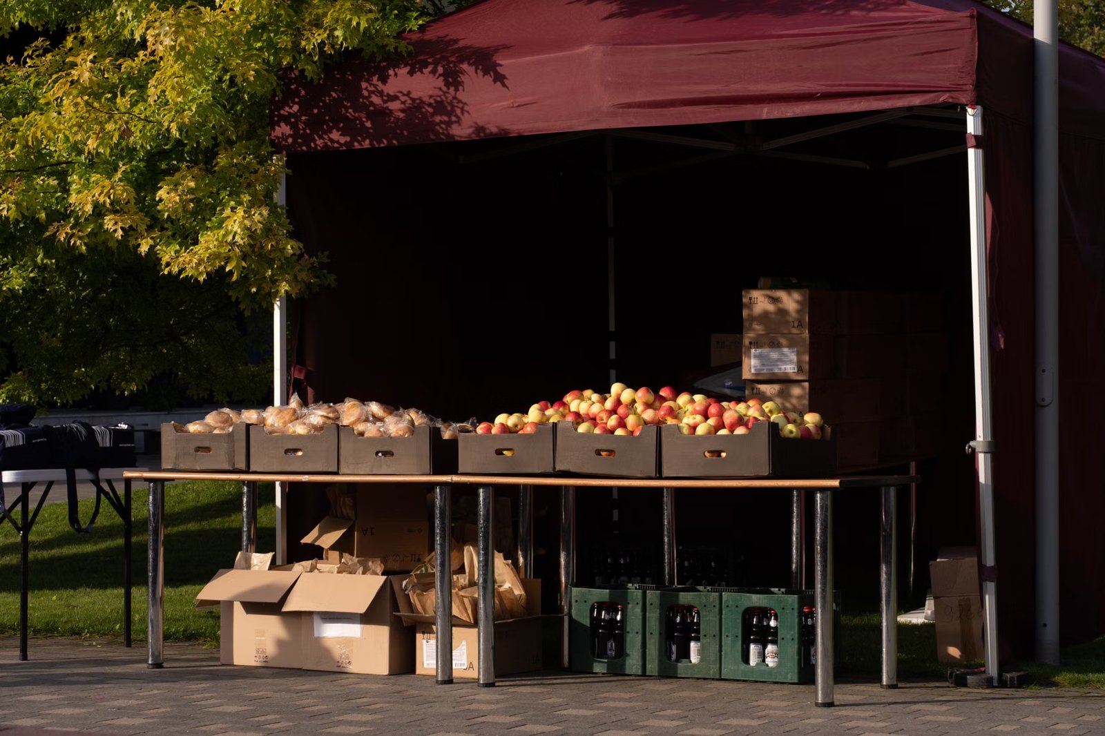 Newton Harvest Fair