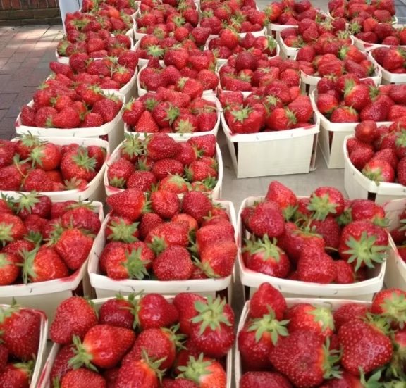 Farmers Market at Charles Hotel