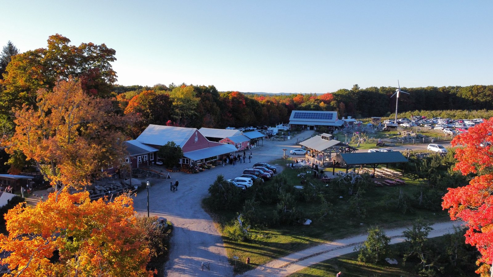 Apple Picking at Red Apple Farm