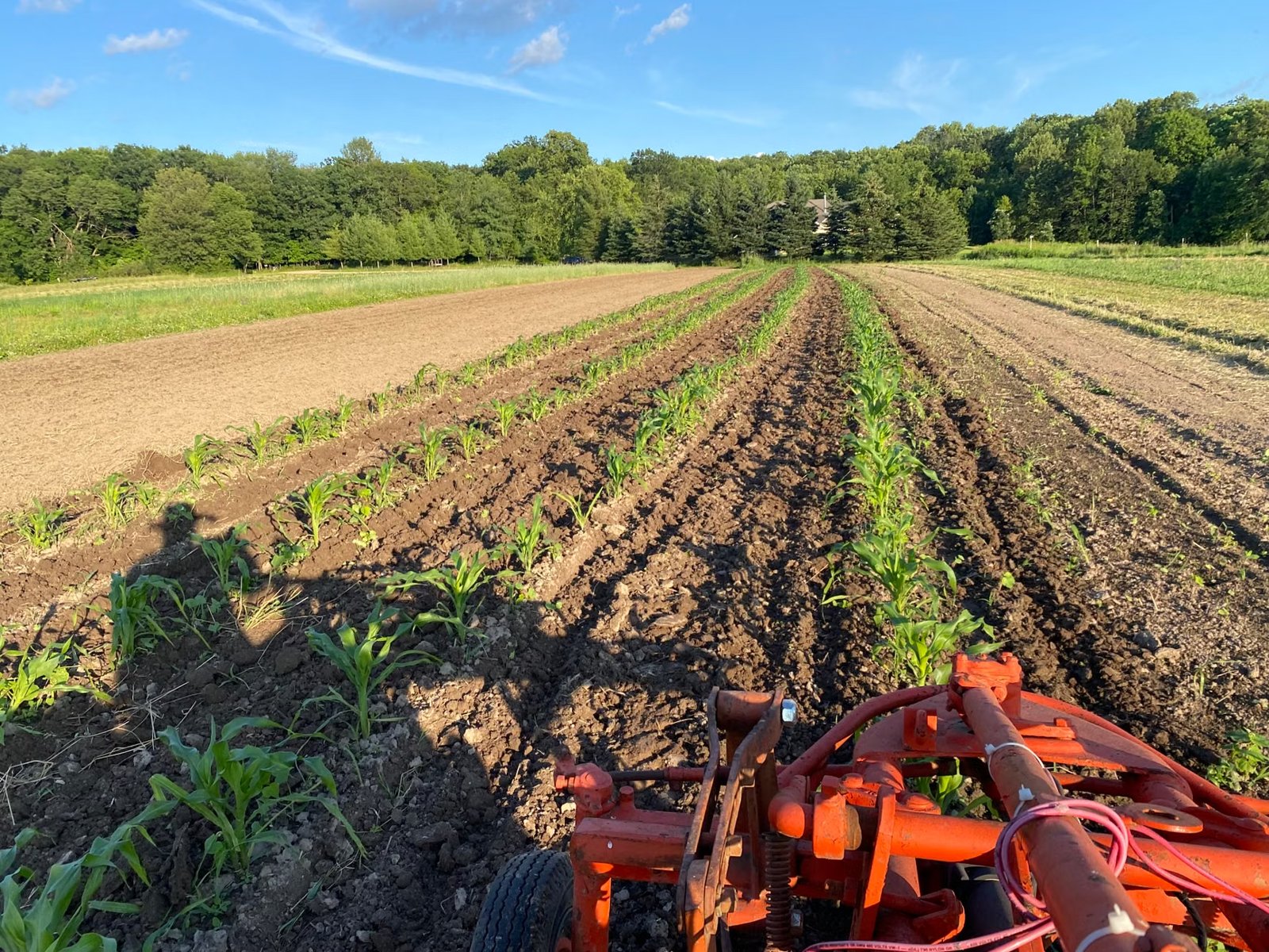 Nicewicz Family Farm