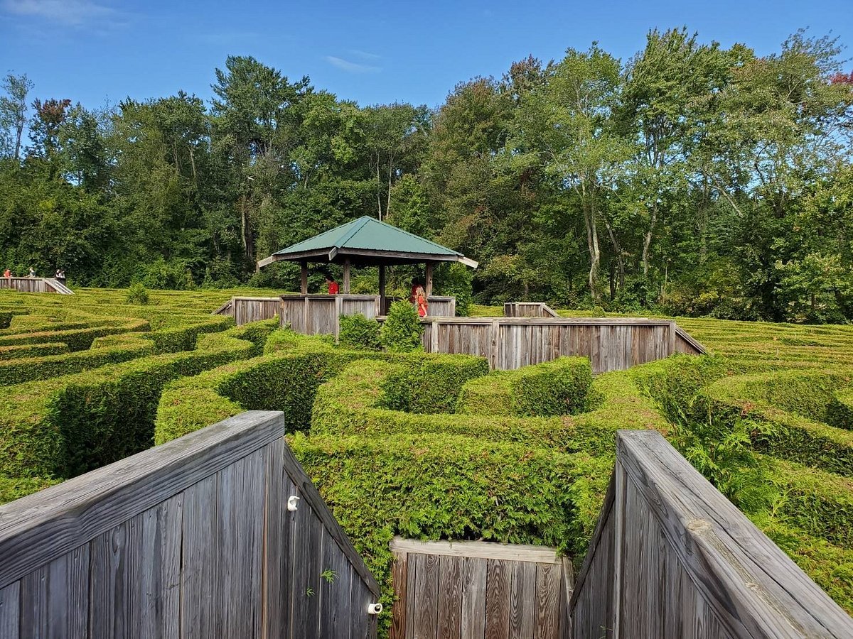Honey Pot Hill Orchards
