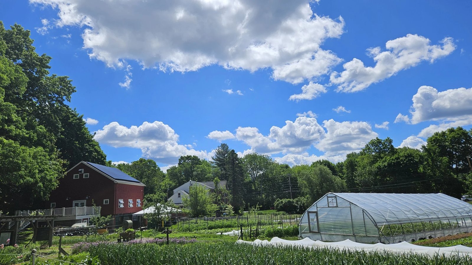 Newton Community Farm