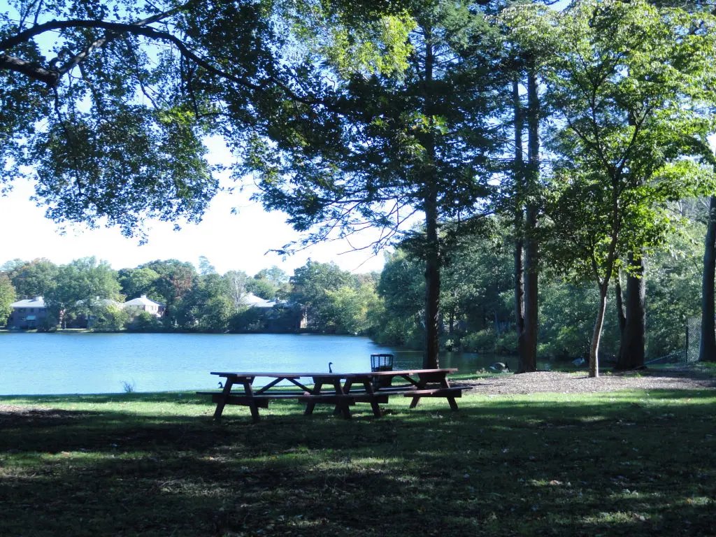 Cronin's Cove