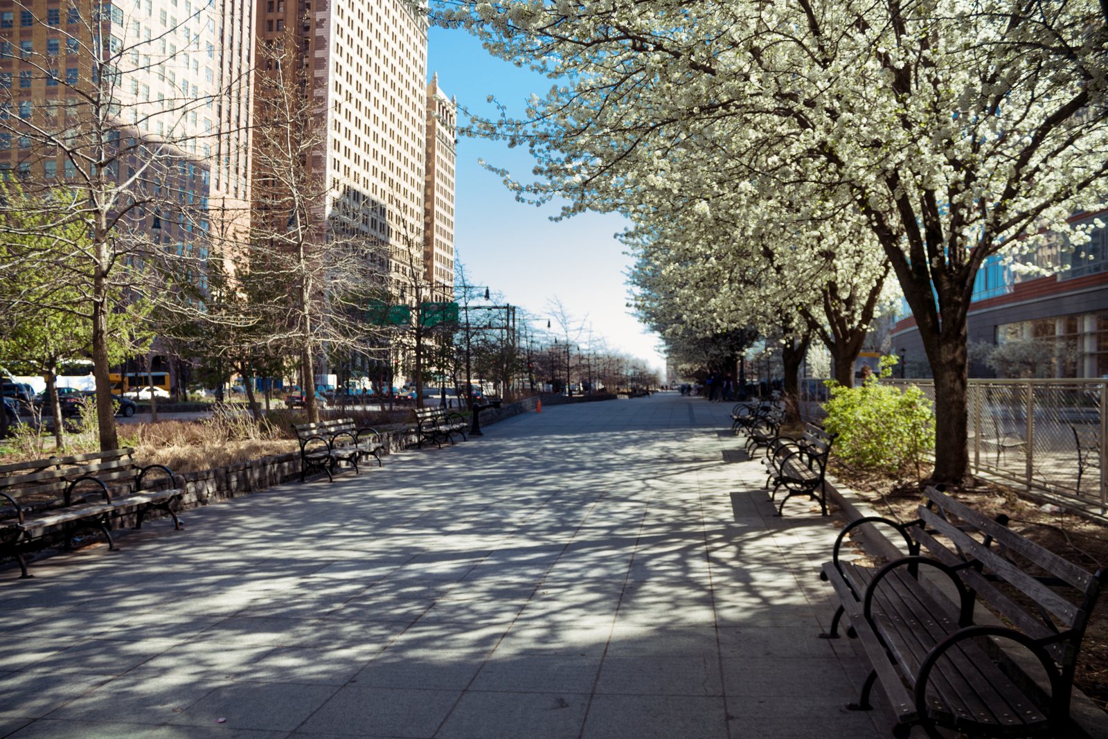 The Maintenance Freeze: Why Rent Caps Can Lead to Deteriorating Buildings in Greater Boston